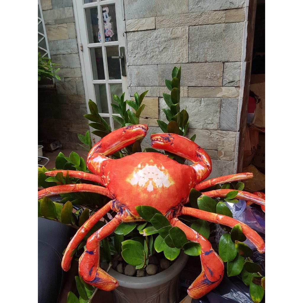 THÚ BÔNG CON CUA ĐỎ , GHẸ BÔNG 3D SIÊU TO KHỔNG LỒ