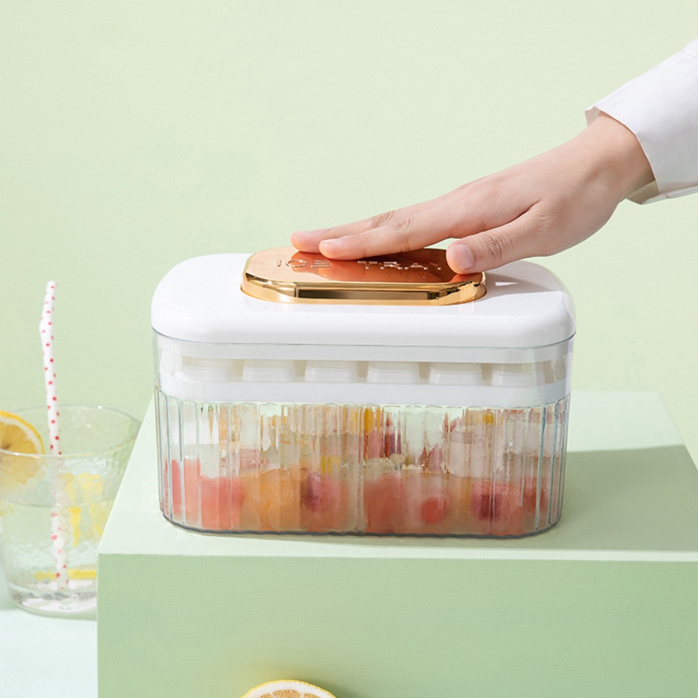 Khay làm đá, đựng đá 24 ô nhựa cấp thực phẩm Silicone Ice Mold And Storage Box