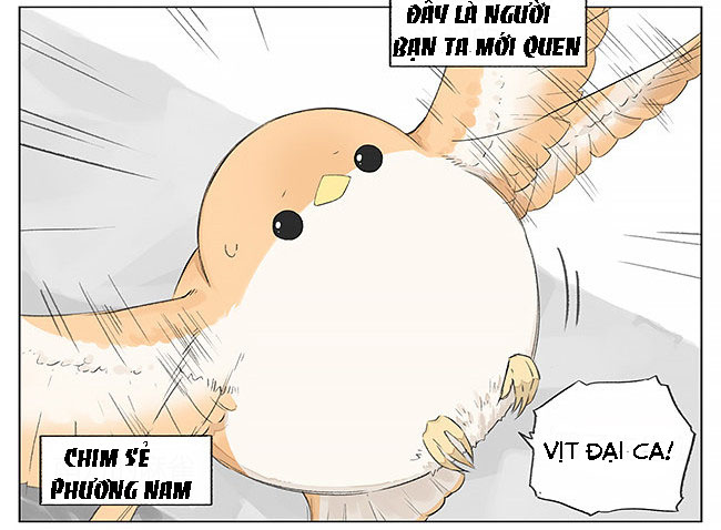 sẻ chiếu mới và nhạn phong sương chapter 5 2