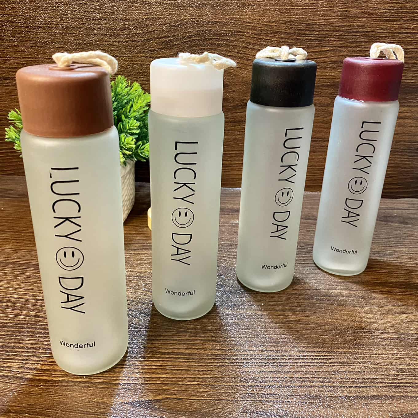 Bình Nước Thủy Tinh Lucky Day Nhiều Màu Xinh Dung Tích 350Ml