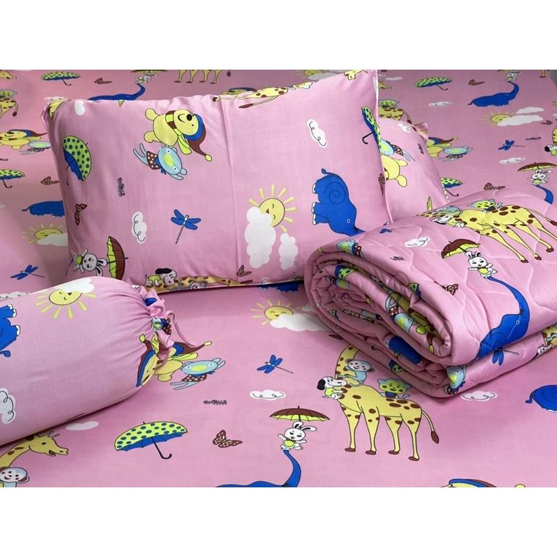 Drap thun hàn quốc