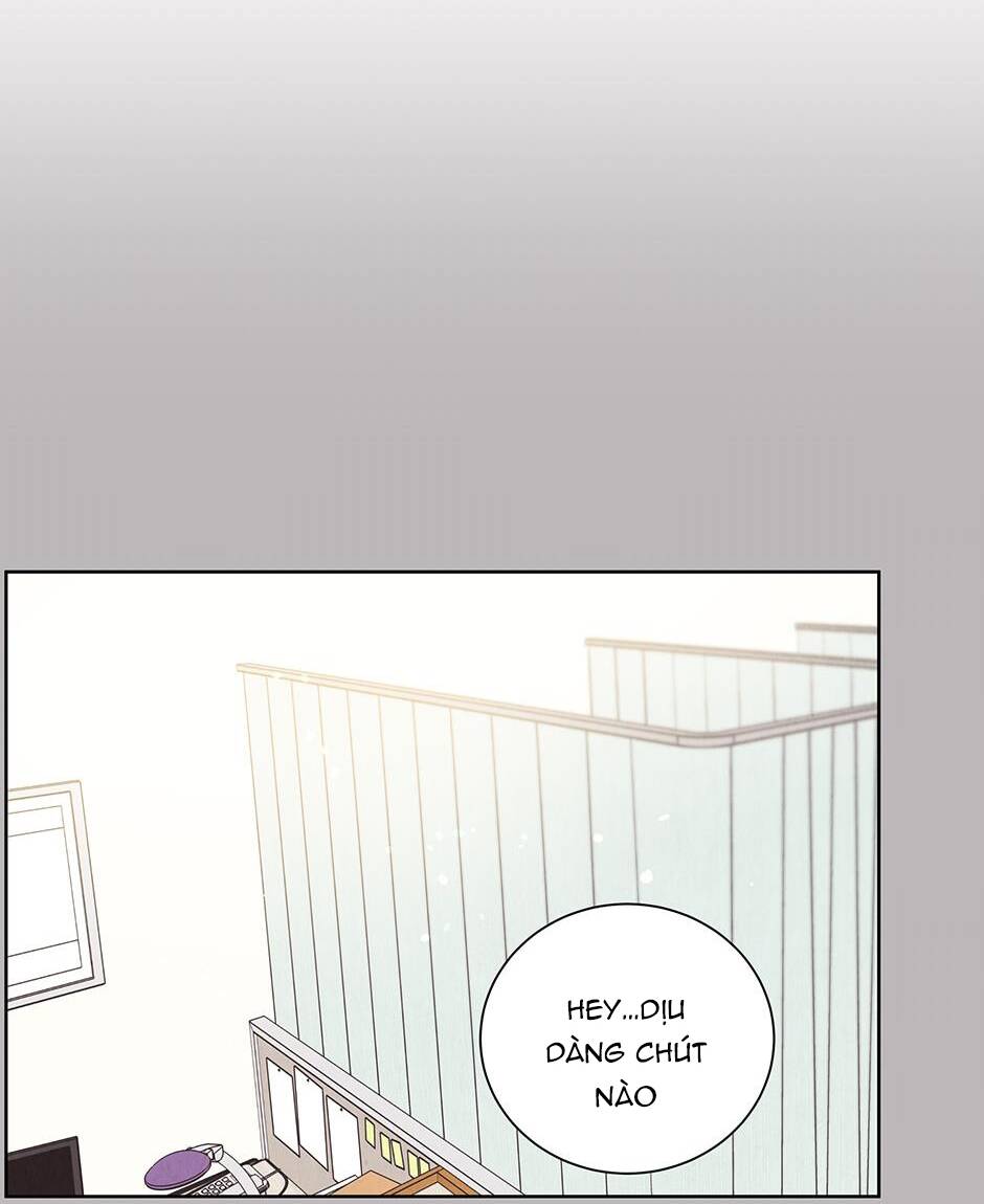 chào nhé, không làm thông gia nữa đâu! chapter 51 80