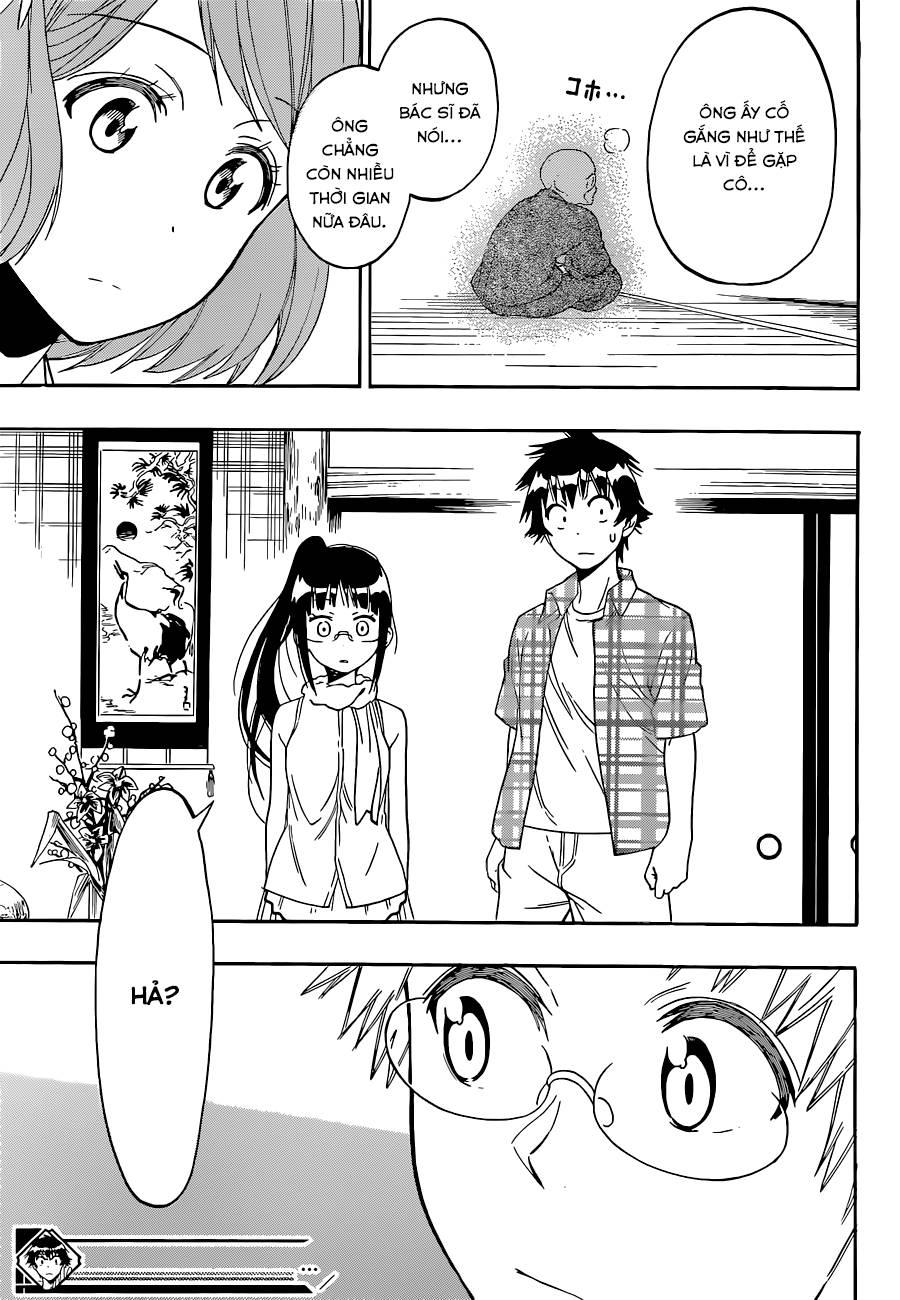 nisekoi - tình yêu giả tạo chapter 113 21