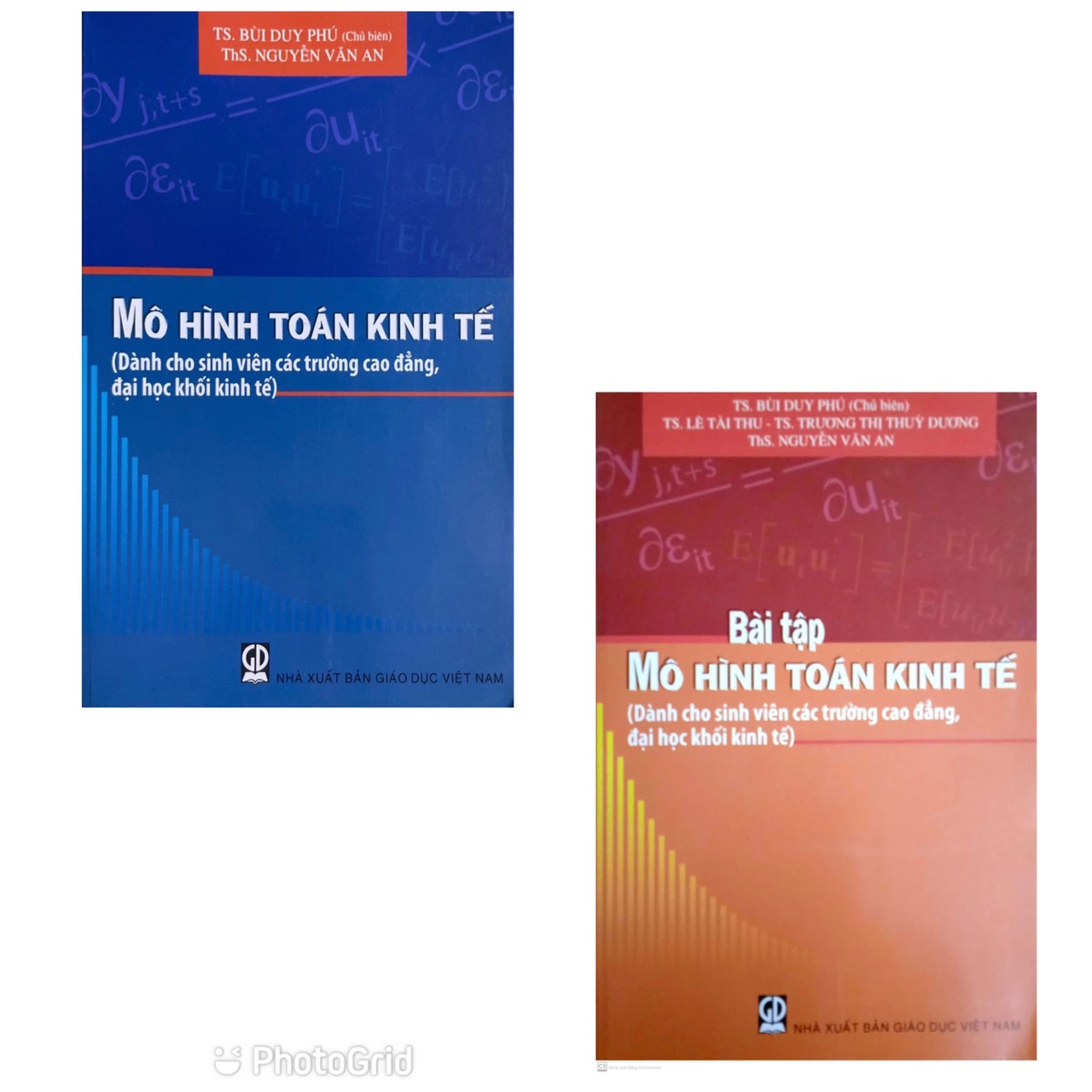 Combo Mô Hình Toán Kinh Tế + Bài Tập ( Dành Cho Sinh Viên Các Trường Cao Đẳng, Đại Học Khối Kinh Tế)