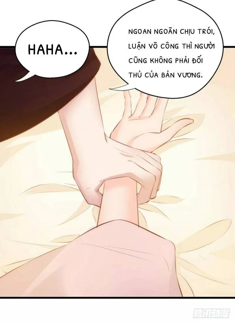 bẩm báo công chúa ! chapter 28 30