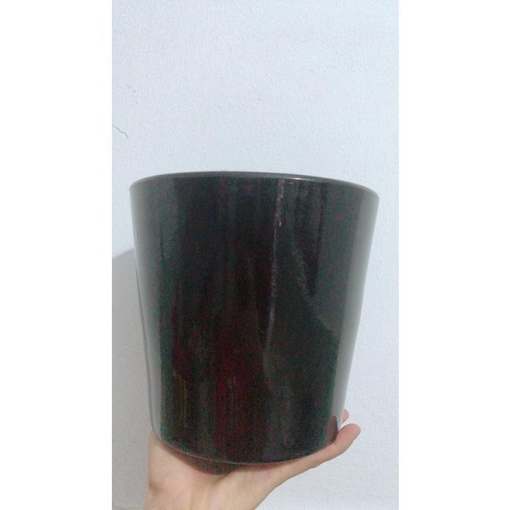 Chậu Sứ Trồng Cây