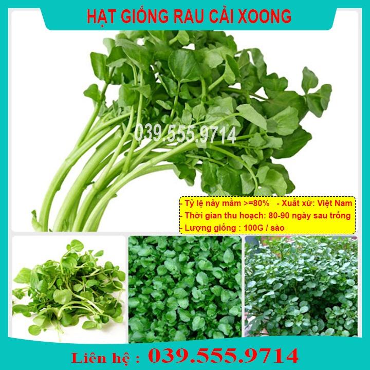 Hạt Giống Rau Cải Xoong trồng tại vườn, sân thượng, nông trang