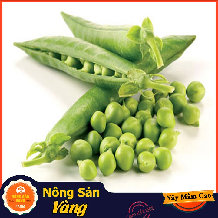 Hạt giống Đậu Hà Lan Xanh ( Gói 10 Gram ) - Nông Sản Vàng