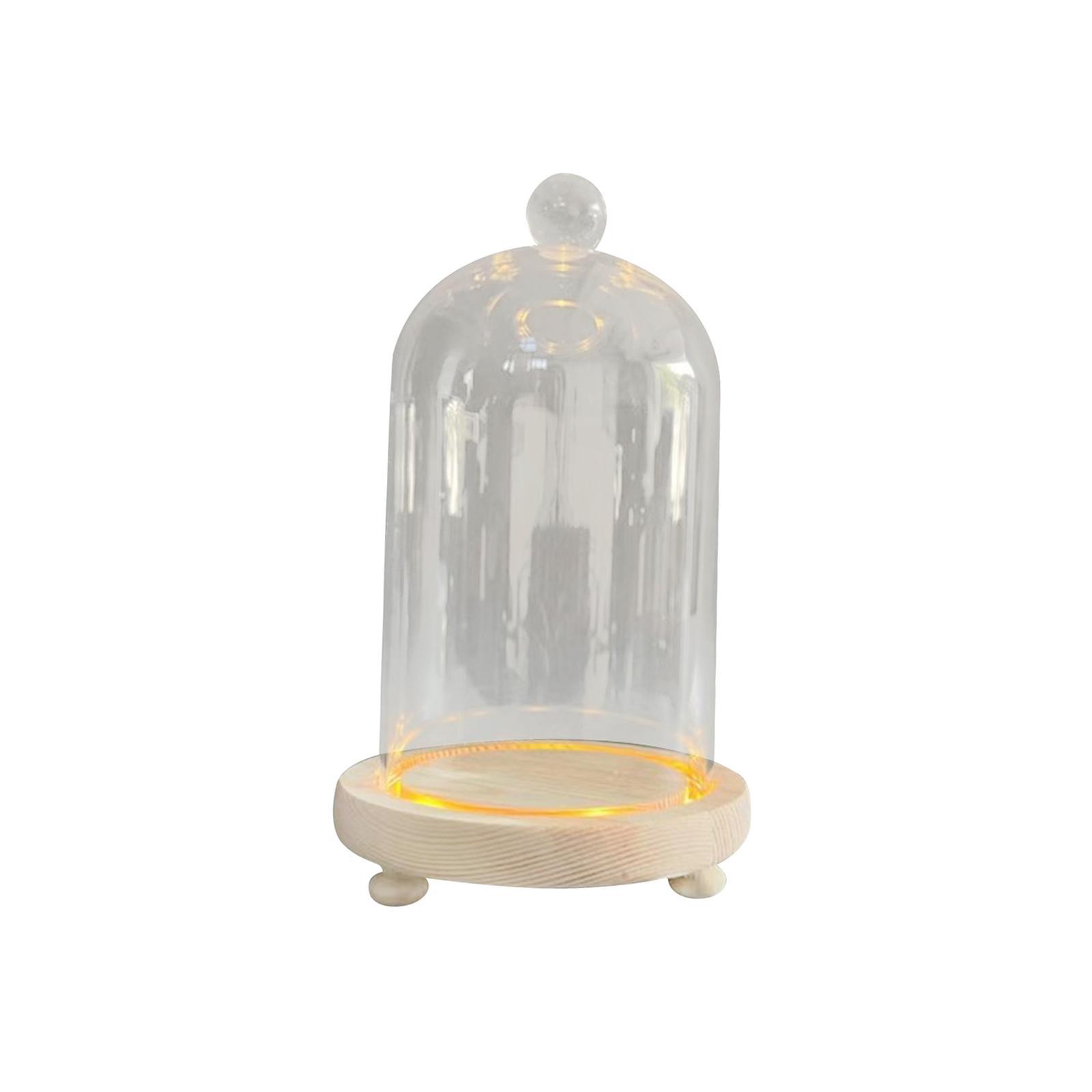 Glass Cloche Dome Eternal Flowers Glass Domes Showcase Transparent Dome Cloche