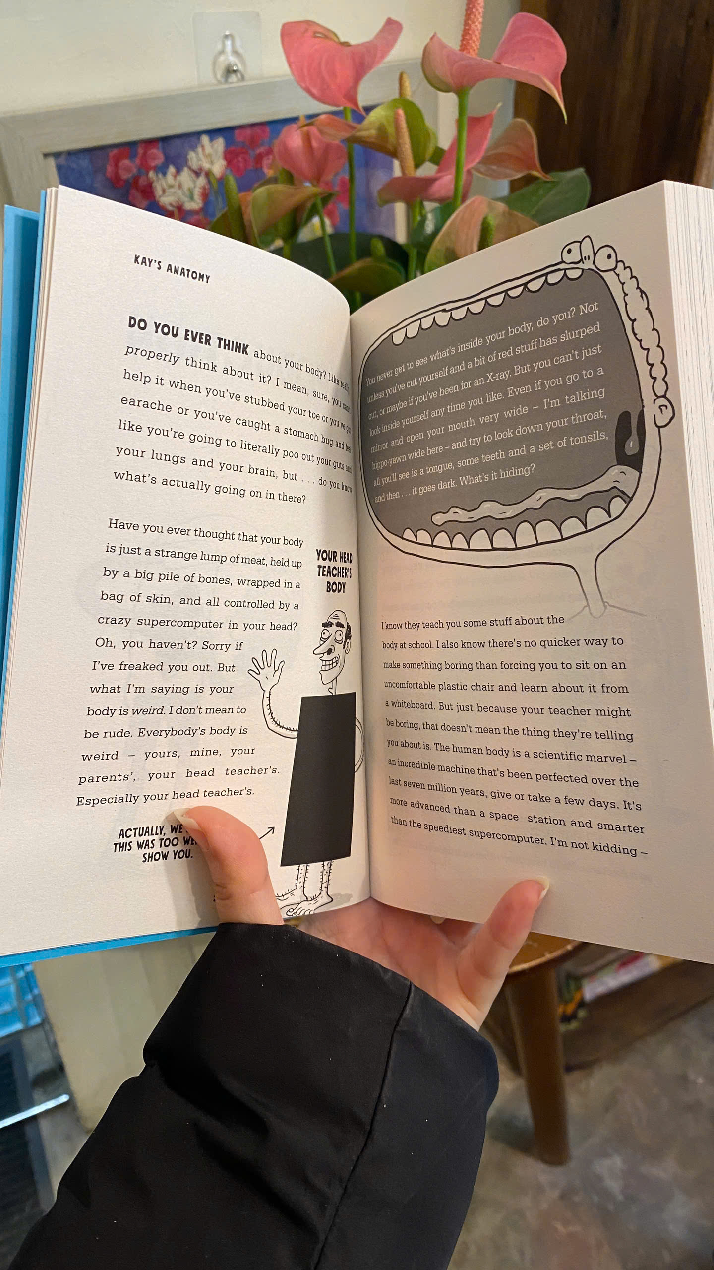 Sách - Kay's Anatomy by Adam Kay | Science Children’s Book / Ngoại văn Thiếu nhi Nhập khẩu