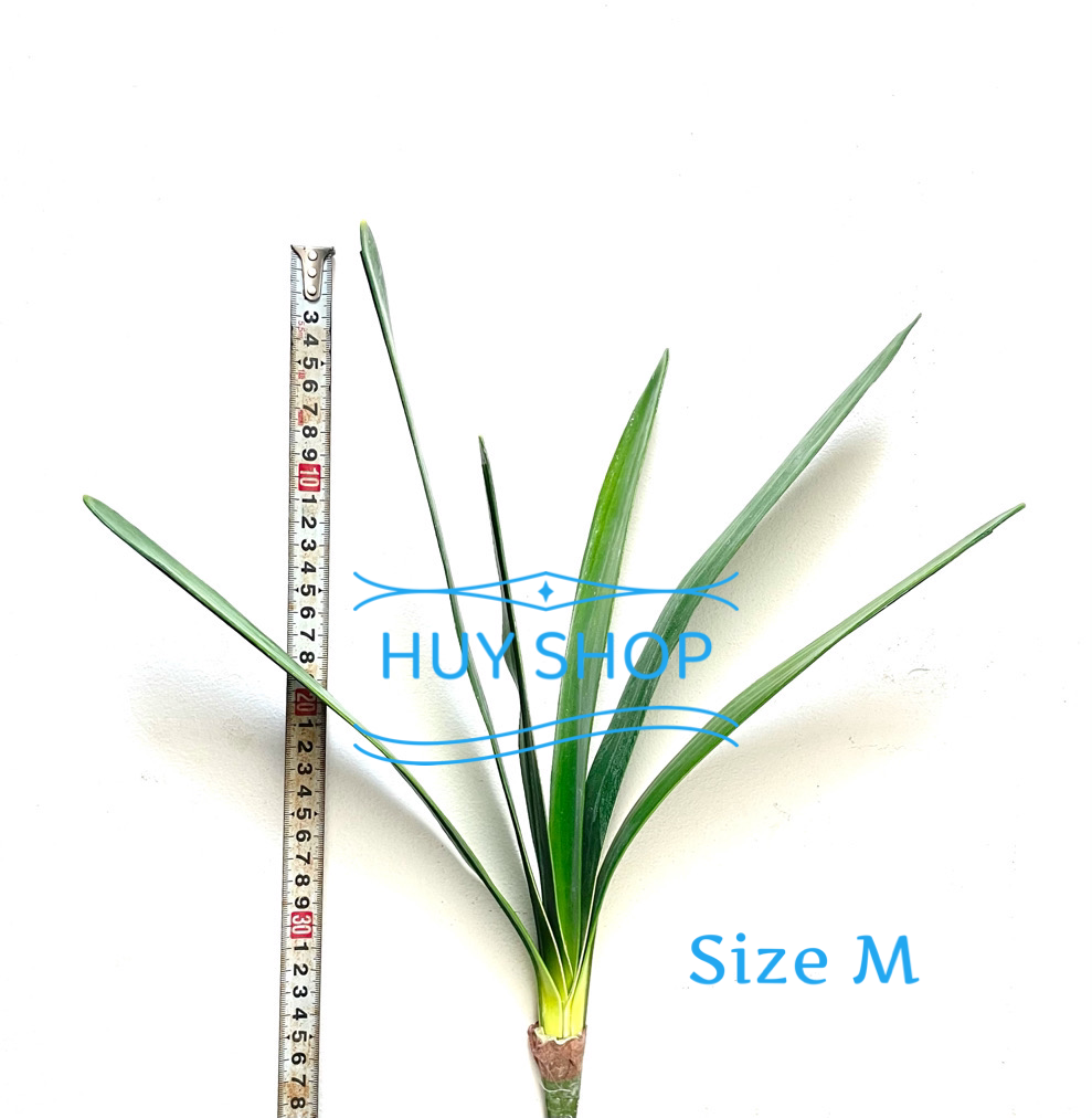 Hoa giả trang trí - COMBO Bộ Hoa LAN ĐẤT 3 nhánh Vải cao cấp