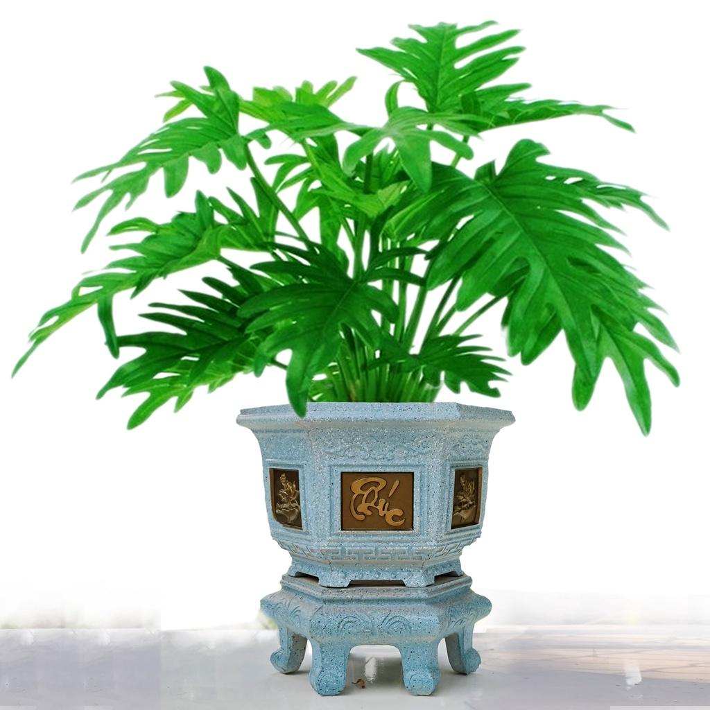 Khuôn đúc chậu cảnh lục giác 38 và chân đôn