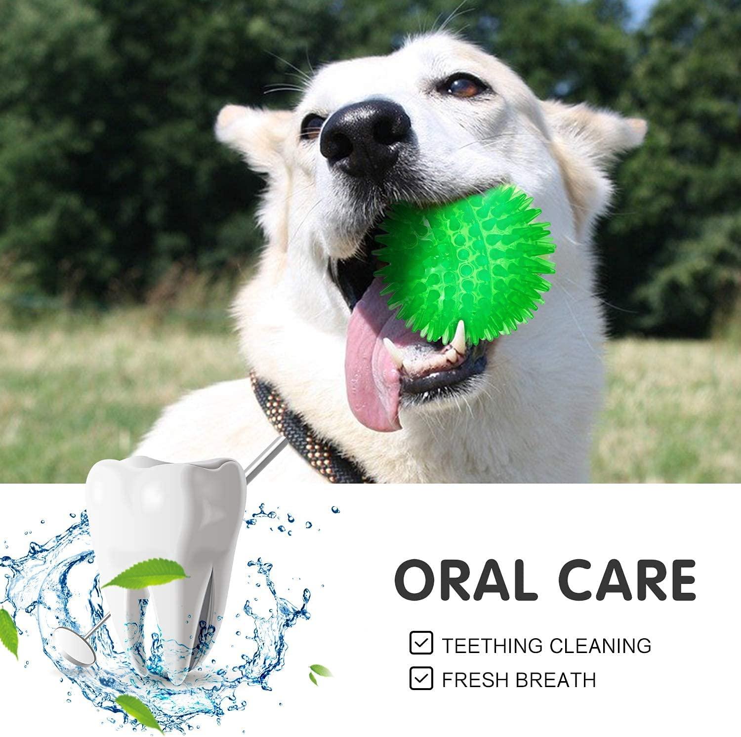 3 Bóng Đồ Chơi Cho Chó, Quả Bóng Cho Chó Có Tiếng Kêu, Bóng Cho Chó Nhai, Đồ Chơi Phao Bơi, Đồ Chơi Ném Cún Con, Đồ Chơi Nhai Chán Chán