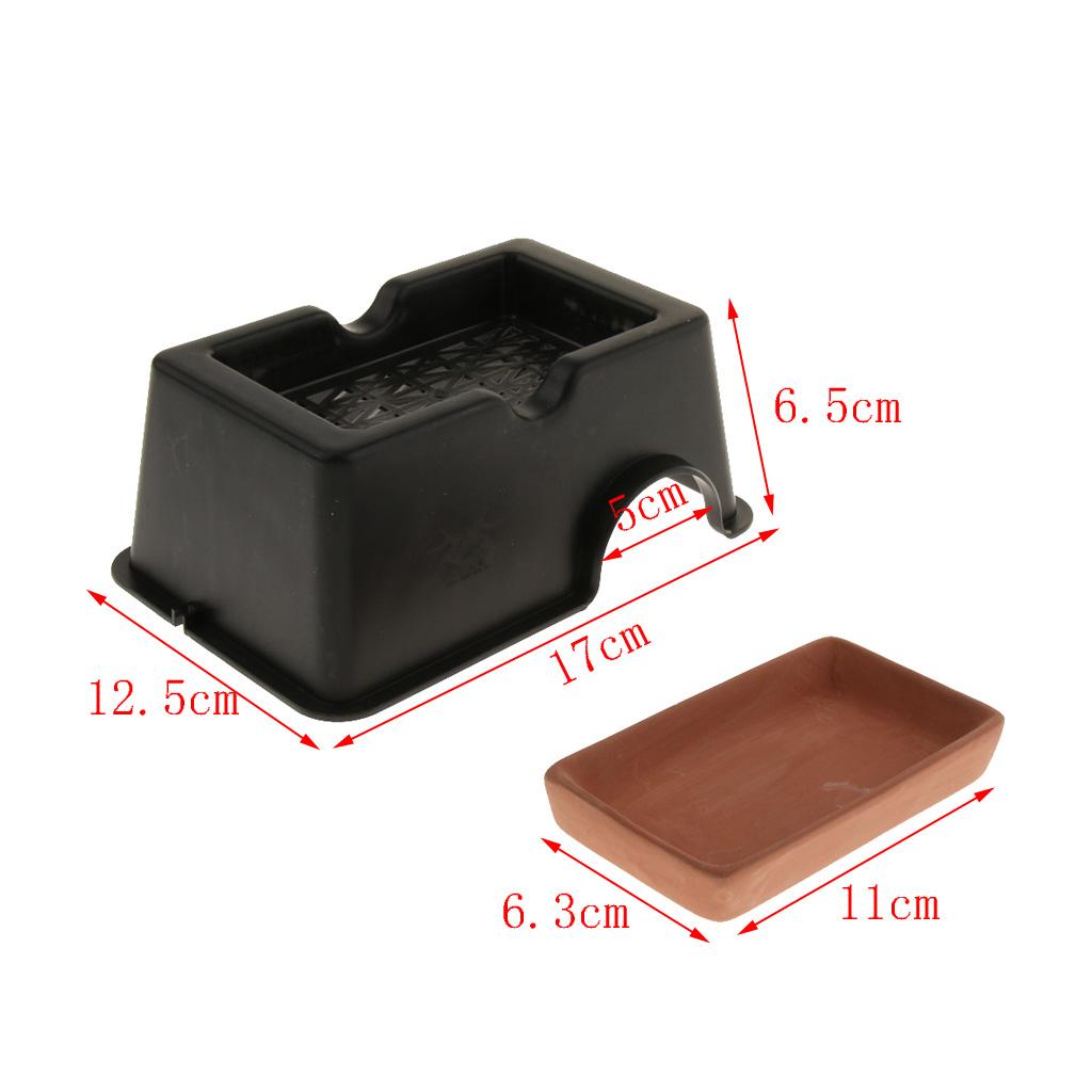 Reptile Humidify Cave Terrarium House for Snake Spider