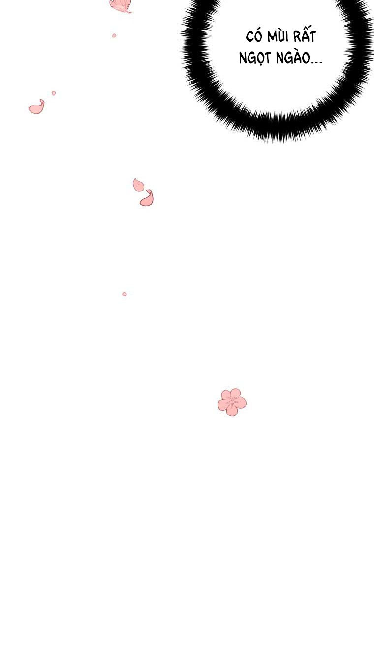 tôi là tiểu thư của gia đình này chapter 144 39