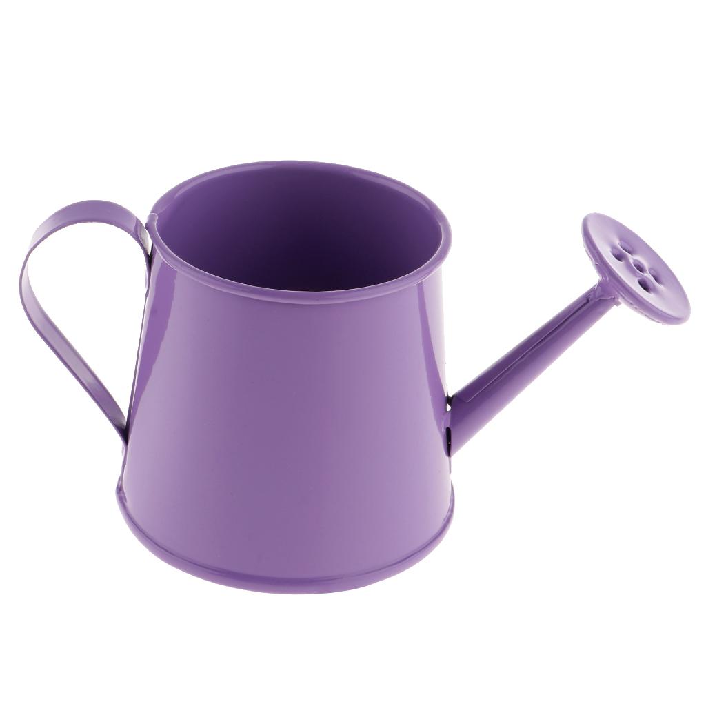 3x Pastoral Style Flower Watering Can Water Pot Sprayer Kettle for Small Plants