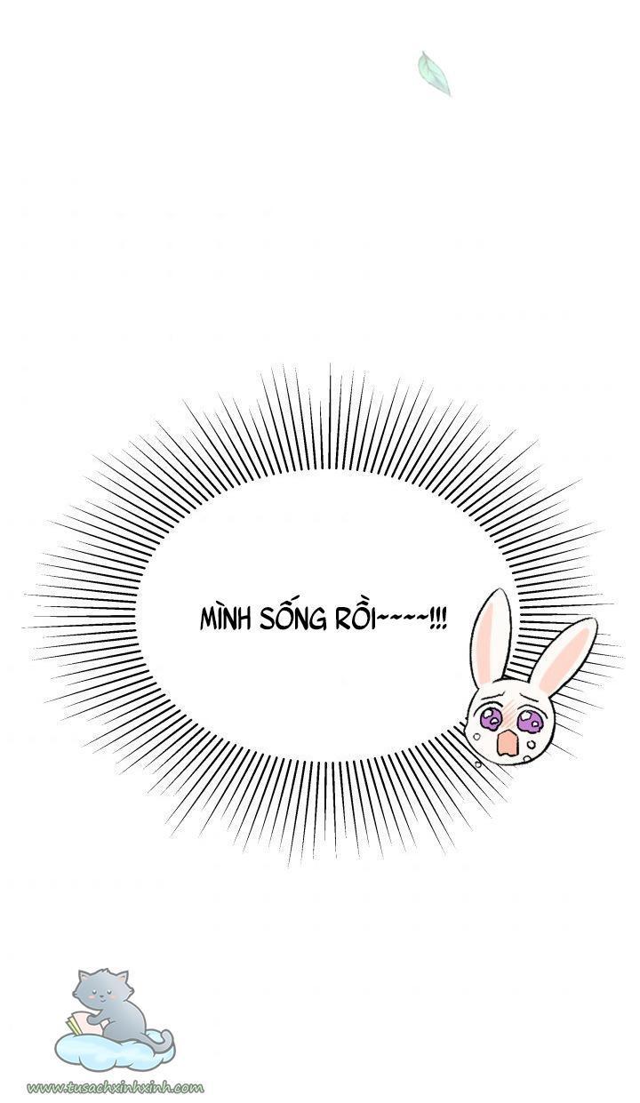 quan hệ cộng sinh giữa báo đen và thỏ trắng chapter 48 76