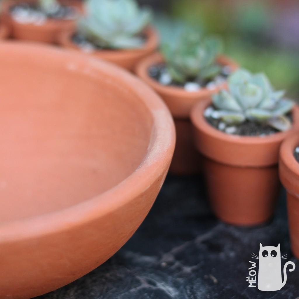 Chậu đất nung Chảo lớn 17x6cm | Chậu trồng sen đá, xương rồng, các loại cây mọng nước