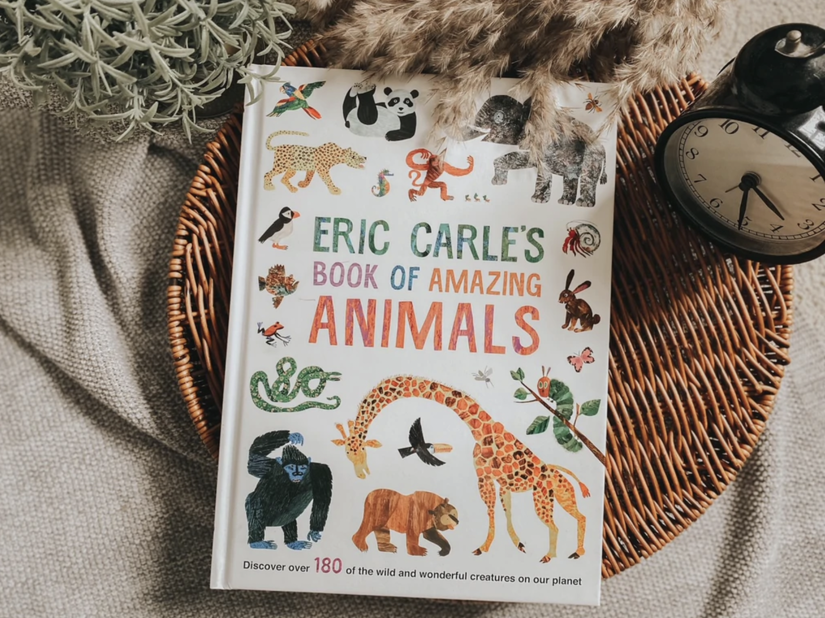 Eric Carle's Book of Amazing Animals