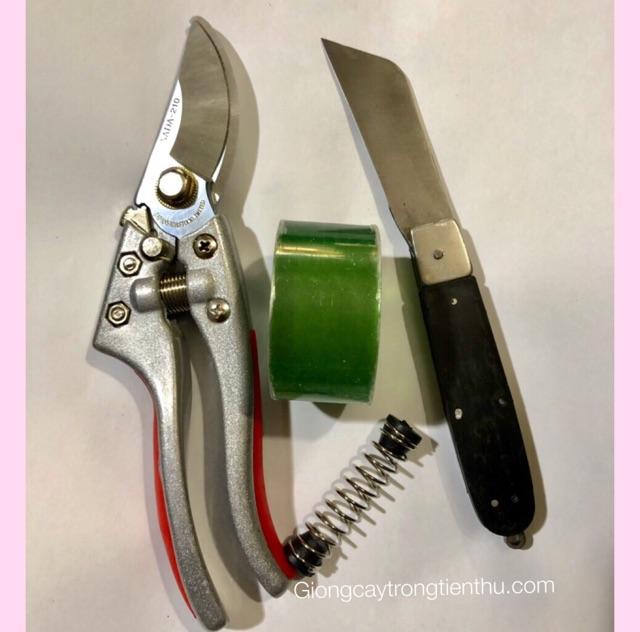COMBO-3 DỤNG CỤ CHUYÊN DÙNG GHÉP CÂY GIỐNG CÂY CẢNH nhập khẩu