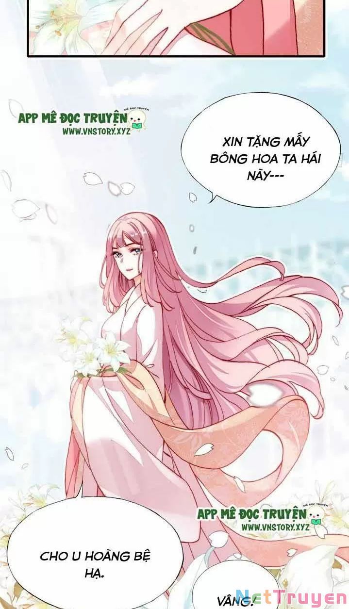 lại bị bệnh chiều chuộng quấn lấy chapter 11 45