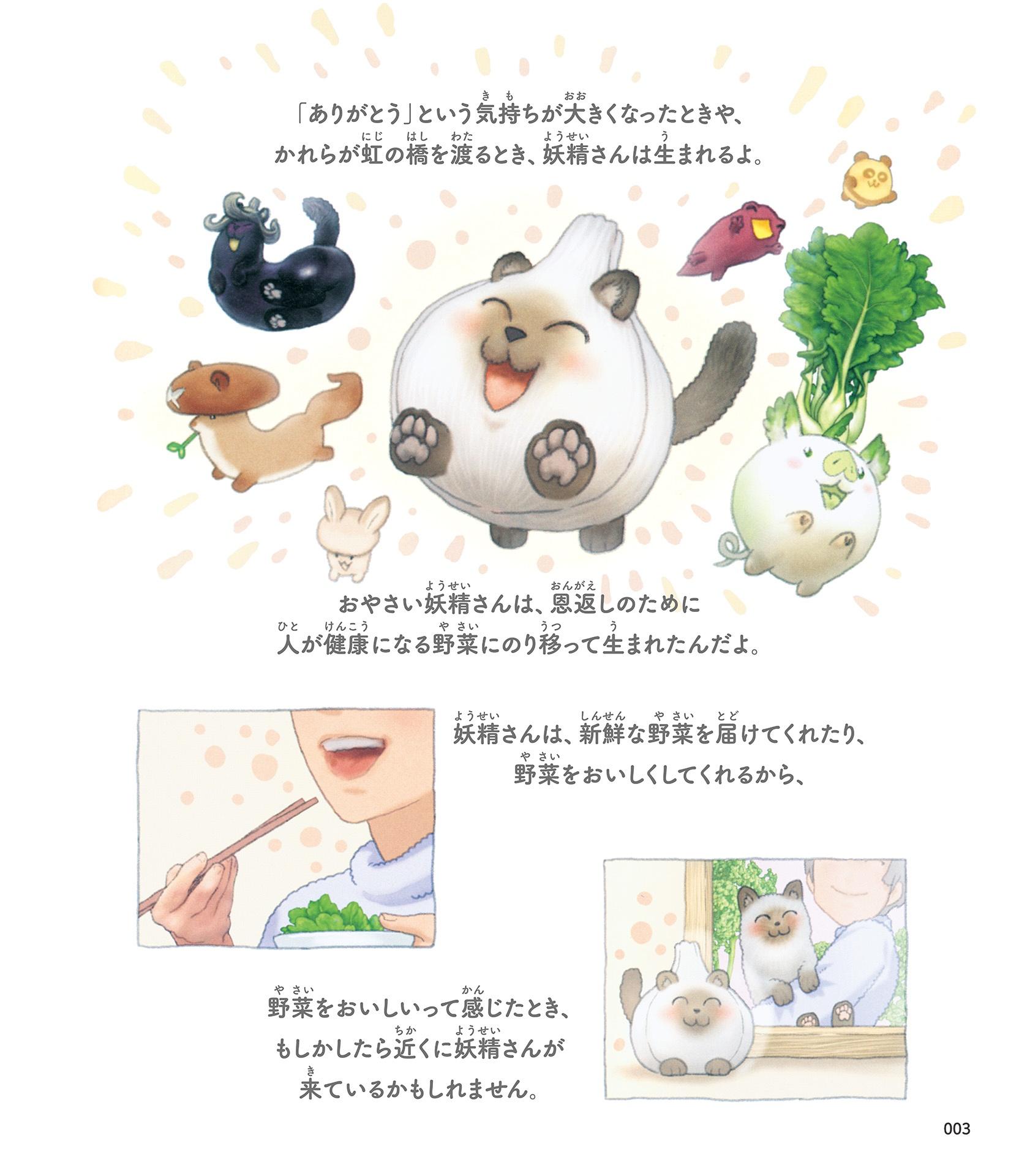 Sách ngoại văn: おやさい妖精さん 大図鑑 - O Yasai Yousei San Ouzu Akira