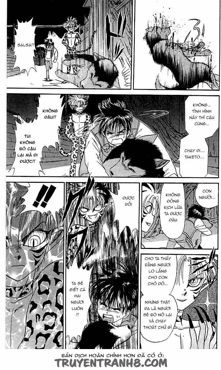 wild half chapter 16 20