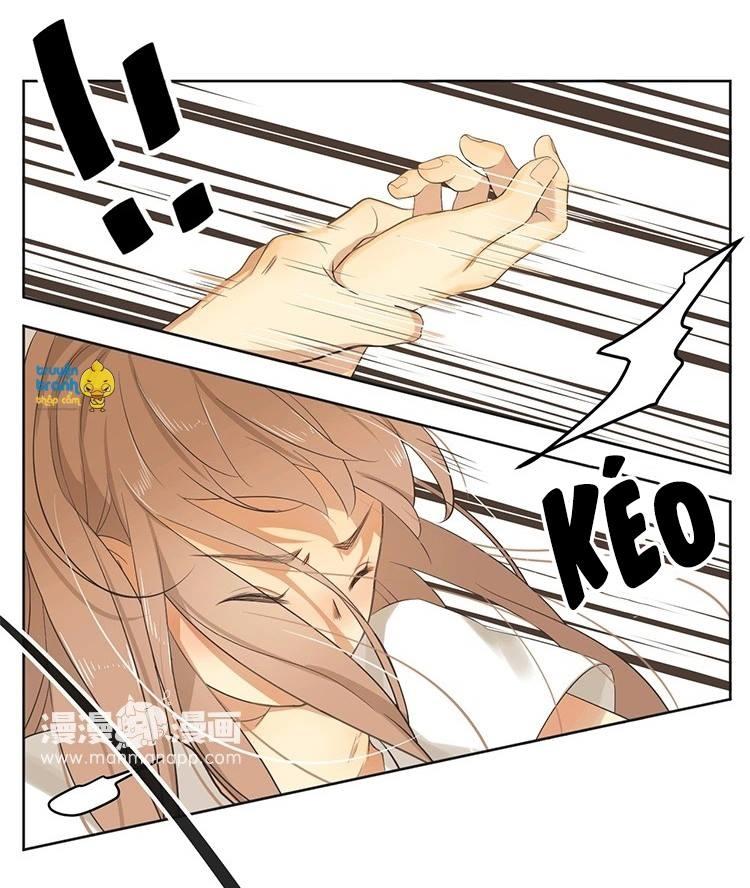 cứu mạng ! loài mèo thống trị thế giới rồi ! chapter 16 6