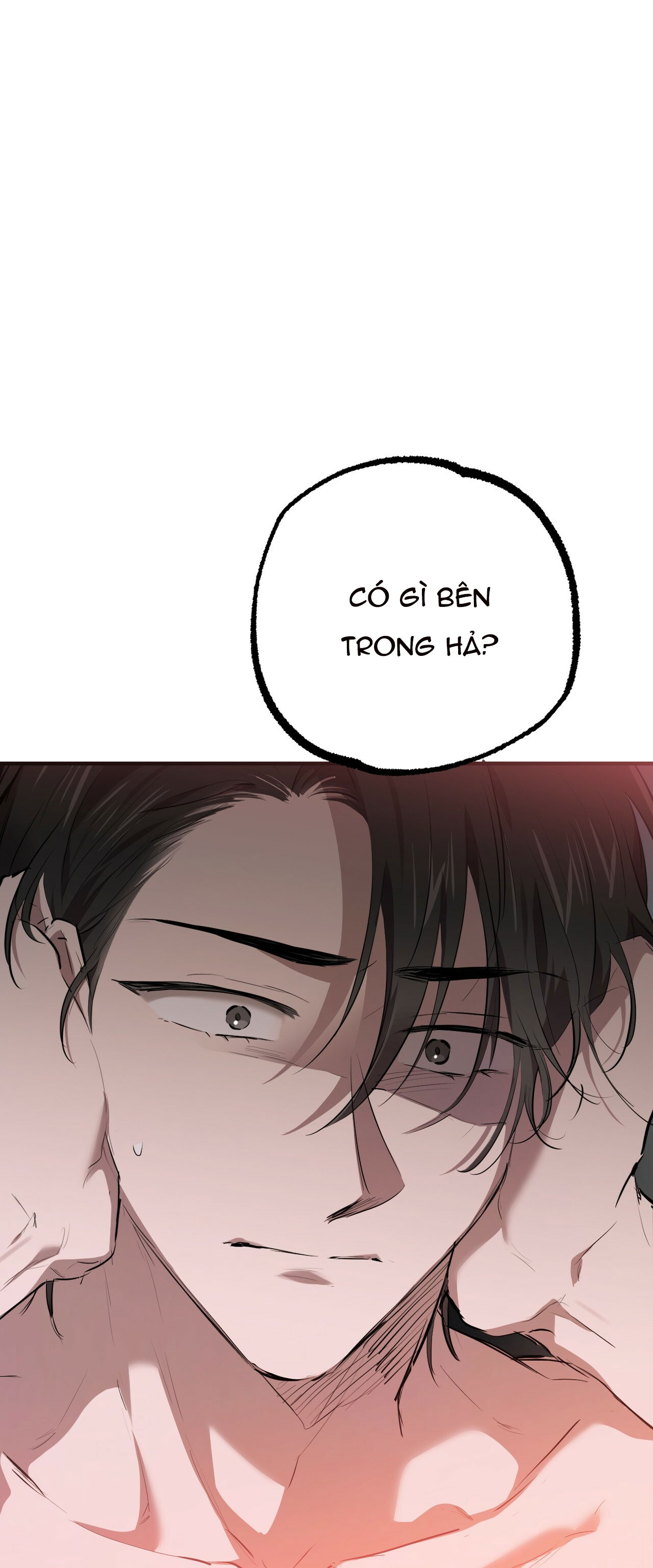 những chú thỏ của hapypy chapter 27 5