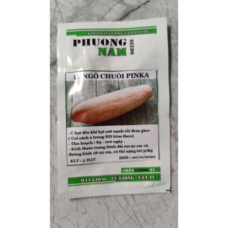 Hạt giống BÍ NGÔ CHUỐI PINKA, bí ngô khổng lồ trái dài gói 5 hạt