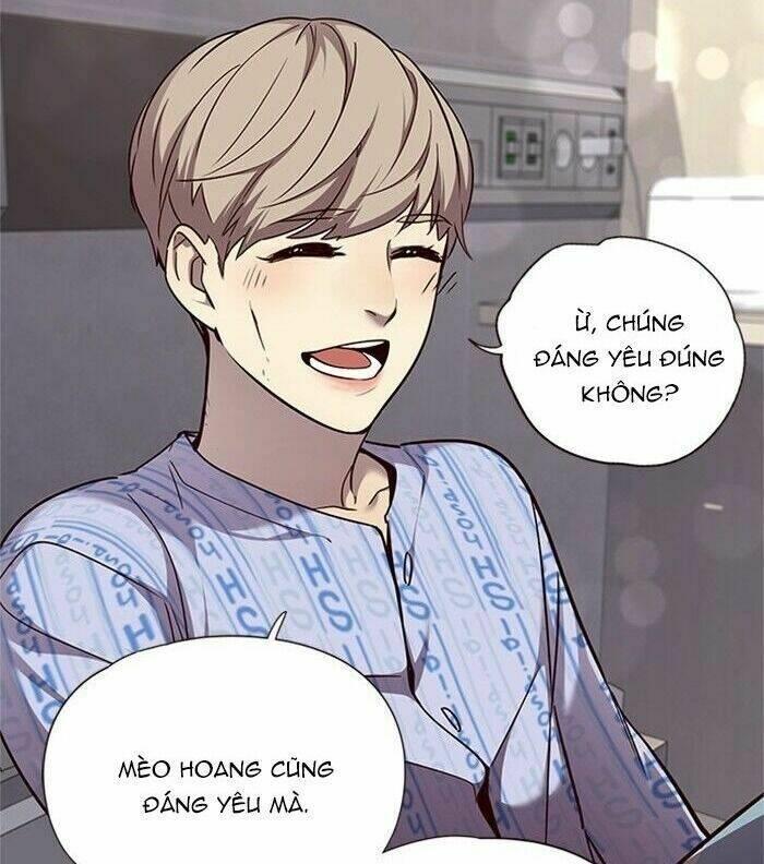 biến thân thành mèo chapter 46 57