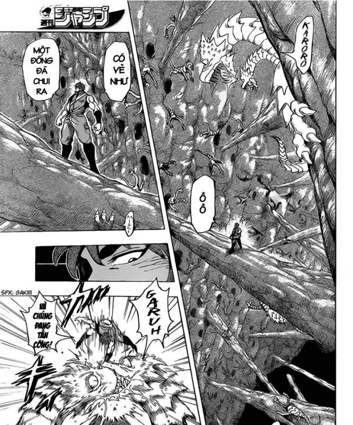 thánh tỏi sành ăn chapter 154 8