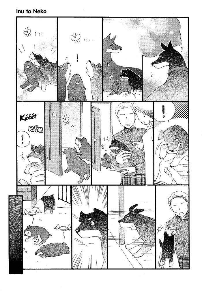 inu to neko chapter 4 4