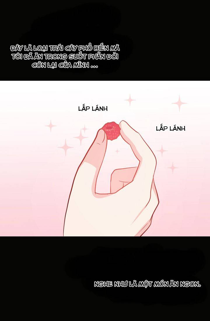 đứa con của rồng chapter 43 30