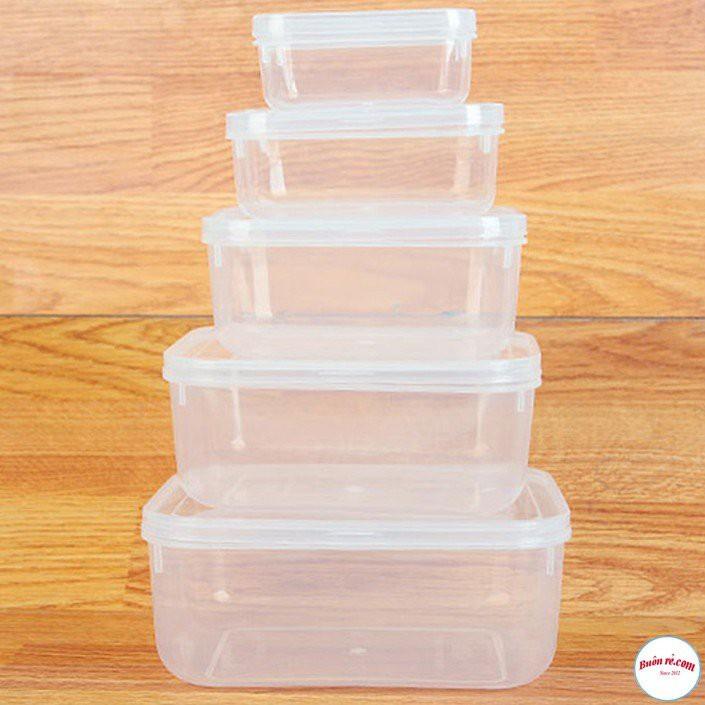 Bộ 5 hộp lạnh bầu đựng thức ăn Việt Nhật -Hộp trữ đồ đông đồ ăn dặm cho bé an toàn tiện lợi - br 01285