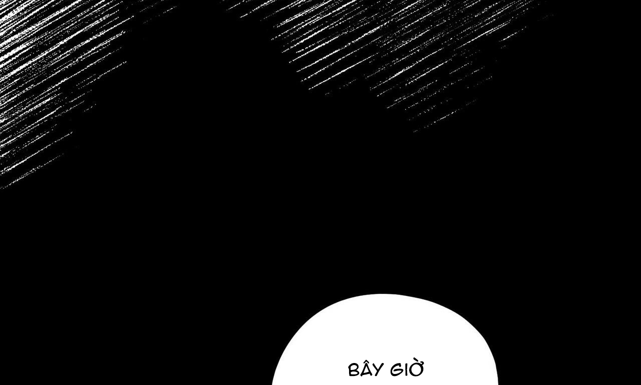 chàng dâu nhà họ kang chapter 11 10