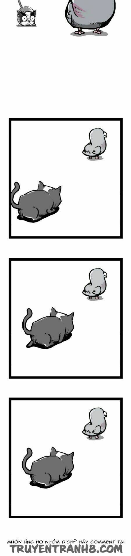 earth, human, and animal chapter 21 15