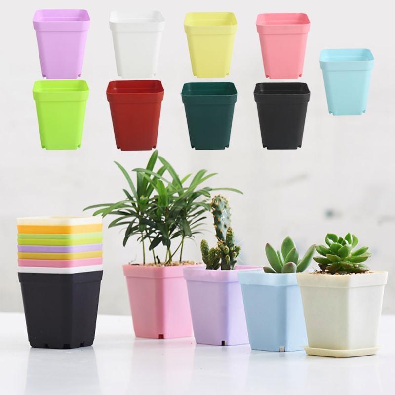 Chậu nhựa trồng cây nhỏ nhiều màu thích hợp trồng sen đá, tai thỏ, xương rồng để bàn làm việc