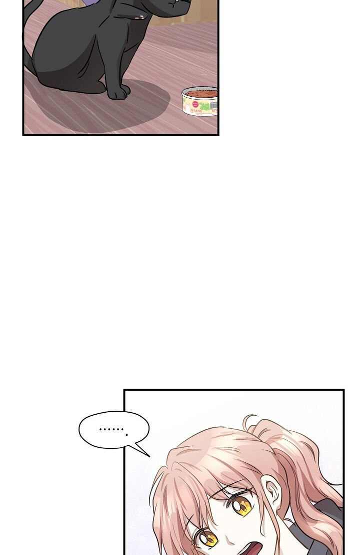 cuộc sống kỳ thú chapter 52 36