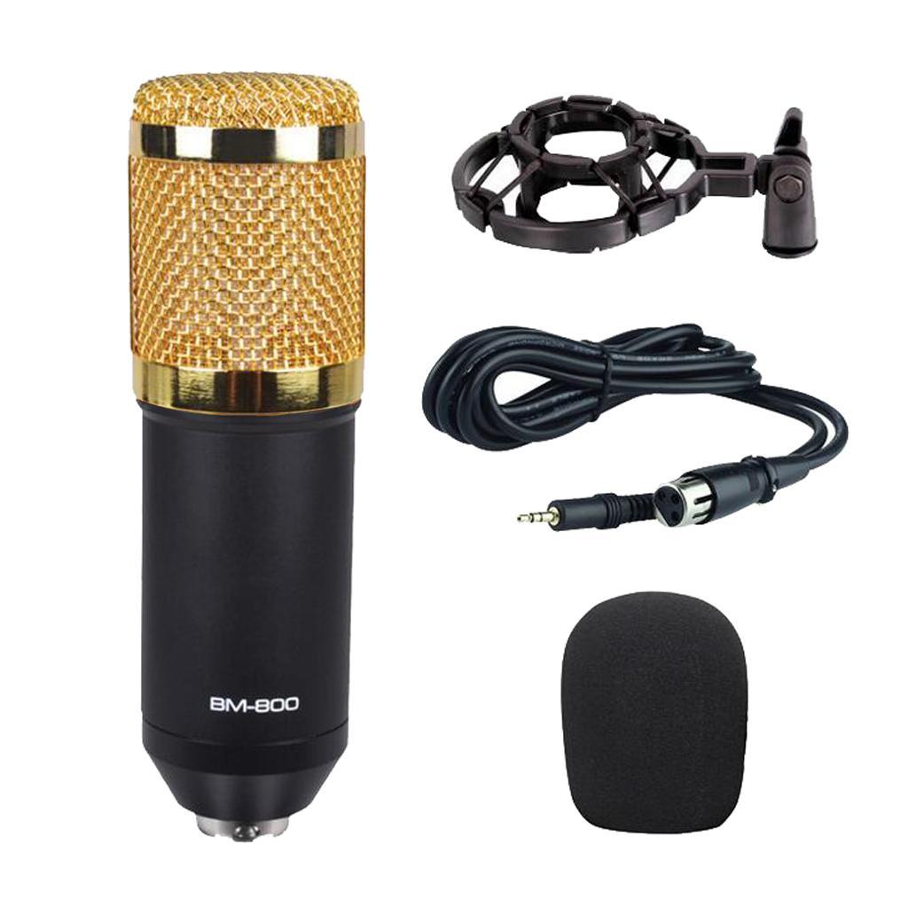 Cute Karaoke Microphone for Singing for Karaoke Singing Audio Studio Recording