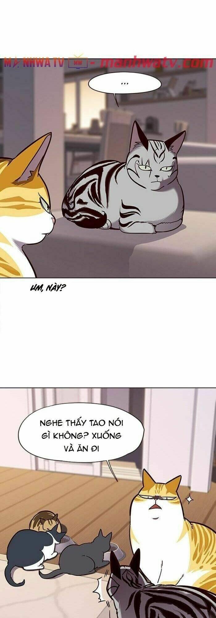 biến thân thành mèo chapter 56 40
