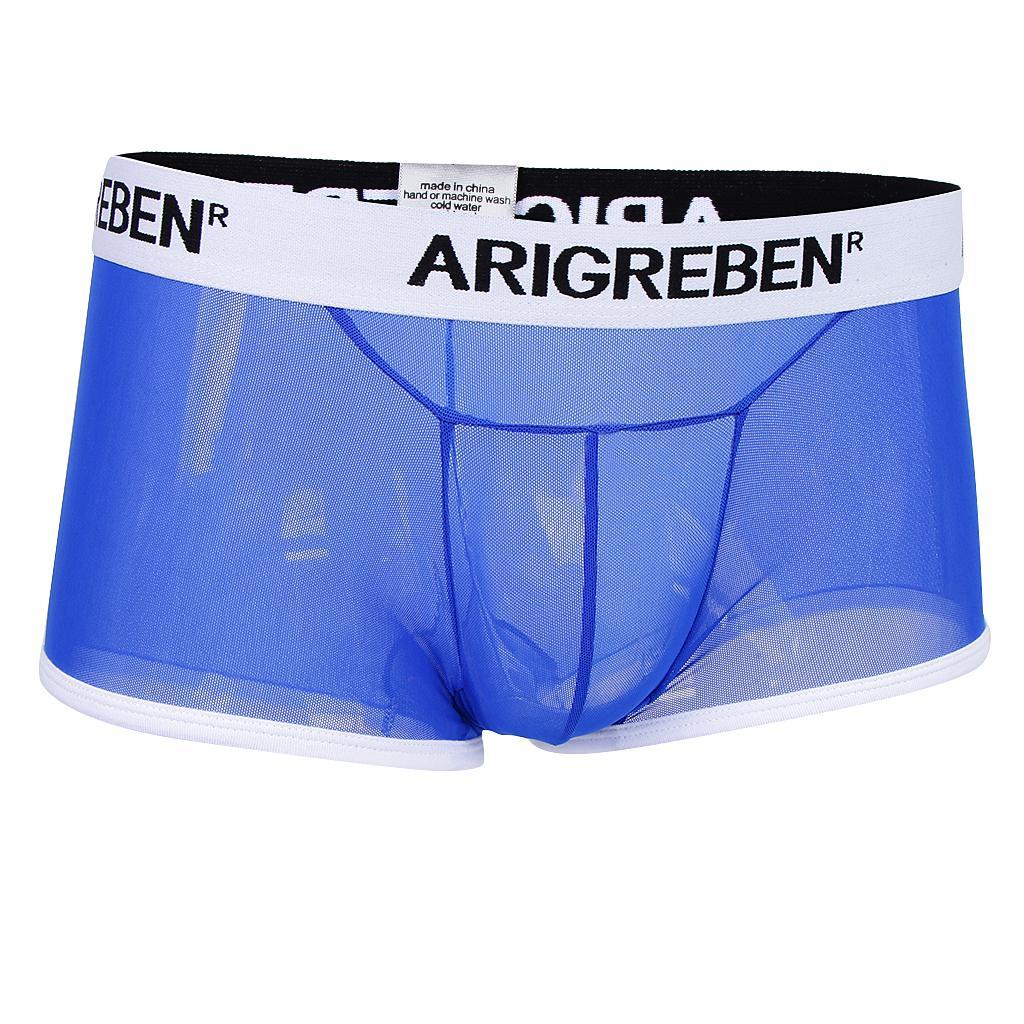 Men Mesh Underwear Thong Bikini Briefs Knickers Soft Sleepwear Swimsuit - Blue, L