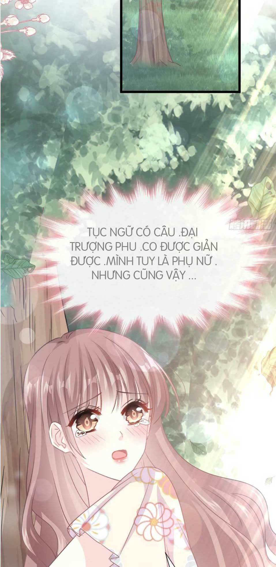 bá đạo tổng tài nhẹ nhàng yêu chapter 58.1 13