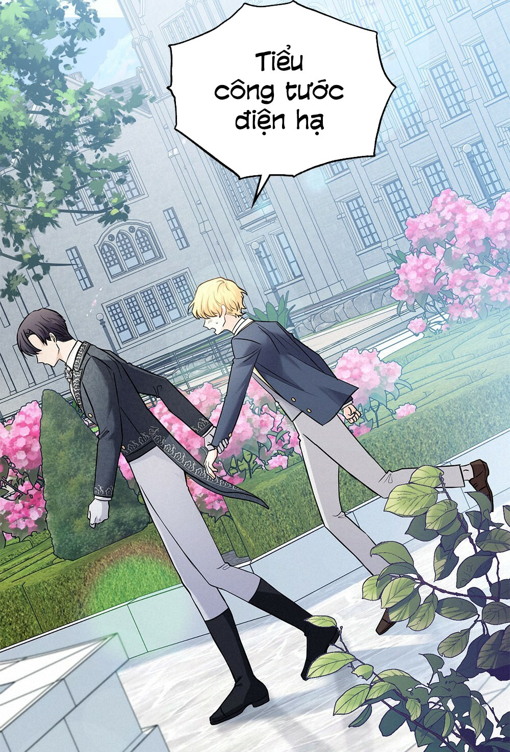 đi tìm nàng camellia chapter 29.2 10