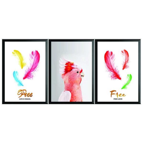 Tranh trang trí khung A3 treo tường hình động vật