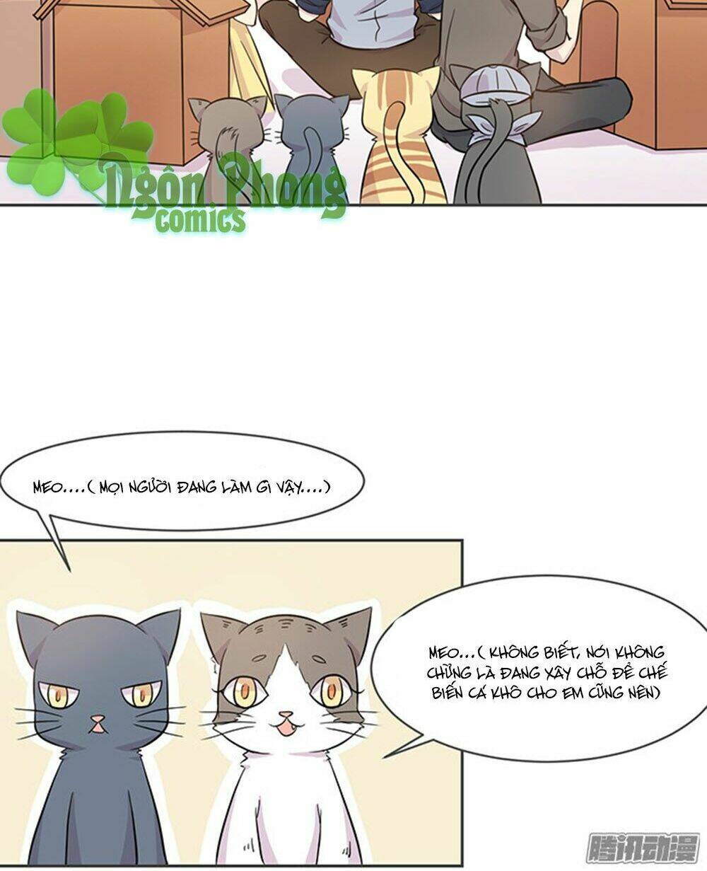 hai chú mèo totem chapter 16 16