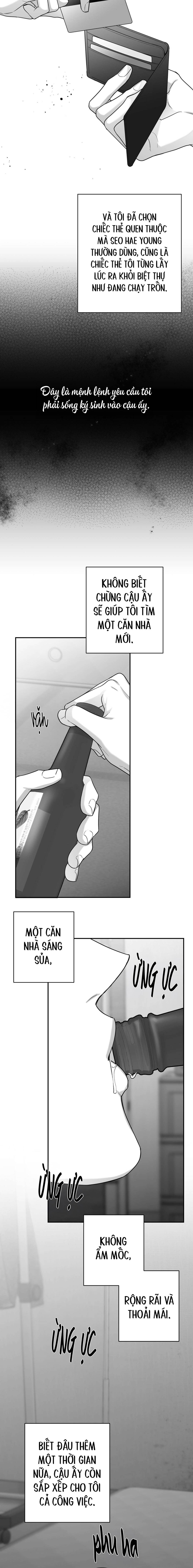 non zero sum chapter 62 10