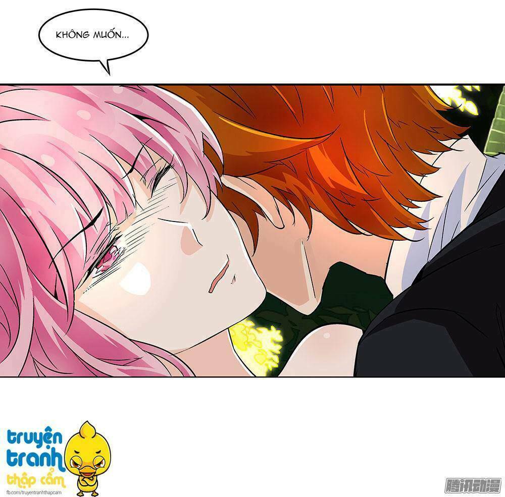 cường sủng hào môn tiểu manh thê chapter 5 4