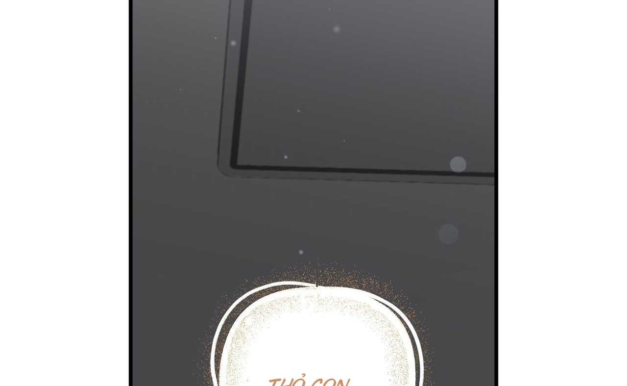 những chú thỏ của hapypy chapter 52 90