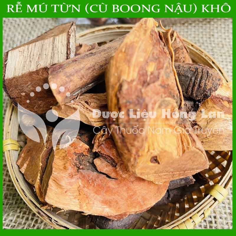 1kg Rễ Cây Mú Từn (Cù boong nậu) khô